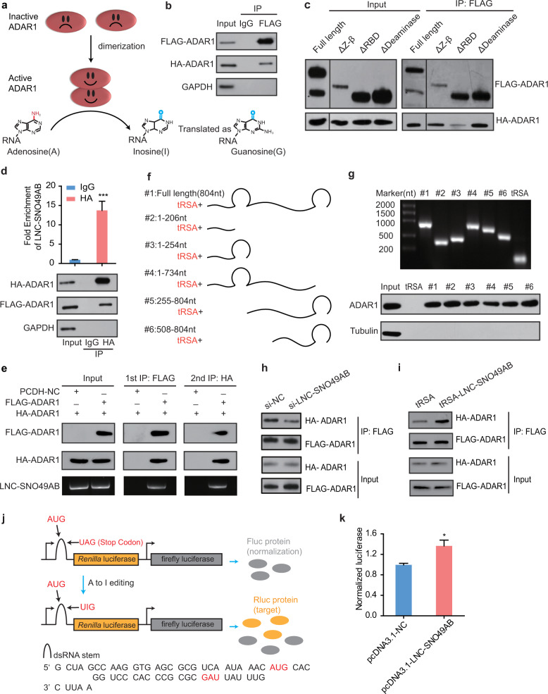質(zhì)譜鑒定外包實(shí)驗(yàn)-輝駿生物專(zhuān)業(yè)檢測(cè)-lc-ms/ms服務(wù)到投稿