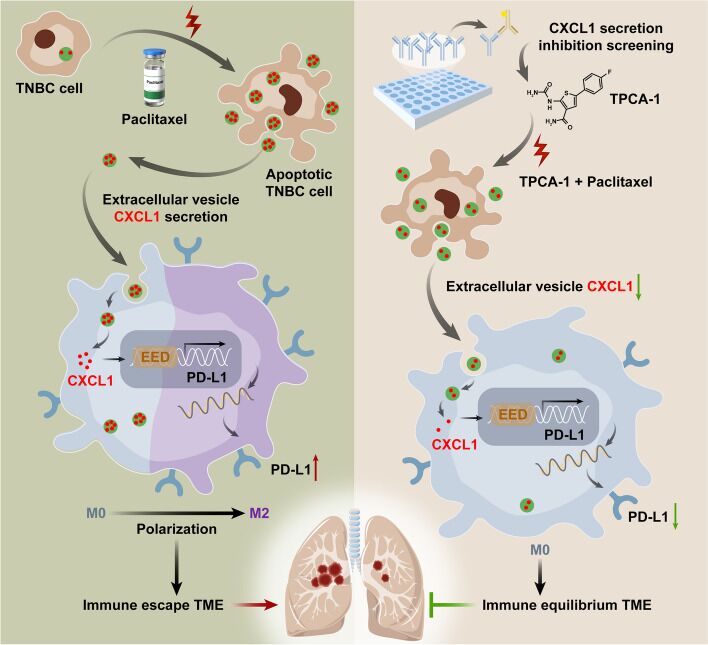 1718607776511174.jpg 1718607776511174.jpg