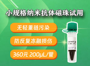 360元200μL小規(guī)格抗體磁珠-無(wú)輕重鏈污染磁珠試用-低價(jià)高效