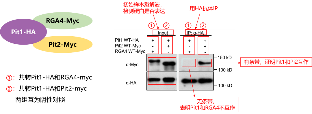 1765943544540909.png 1765943544540909.png